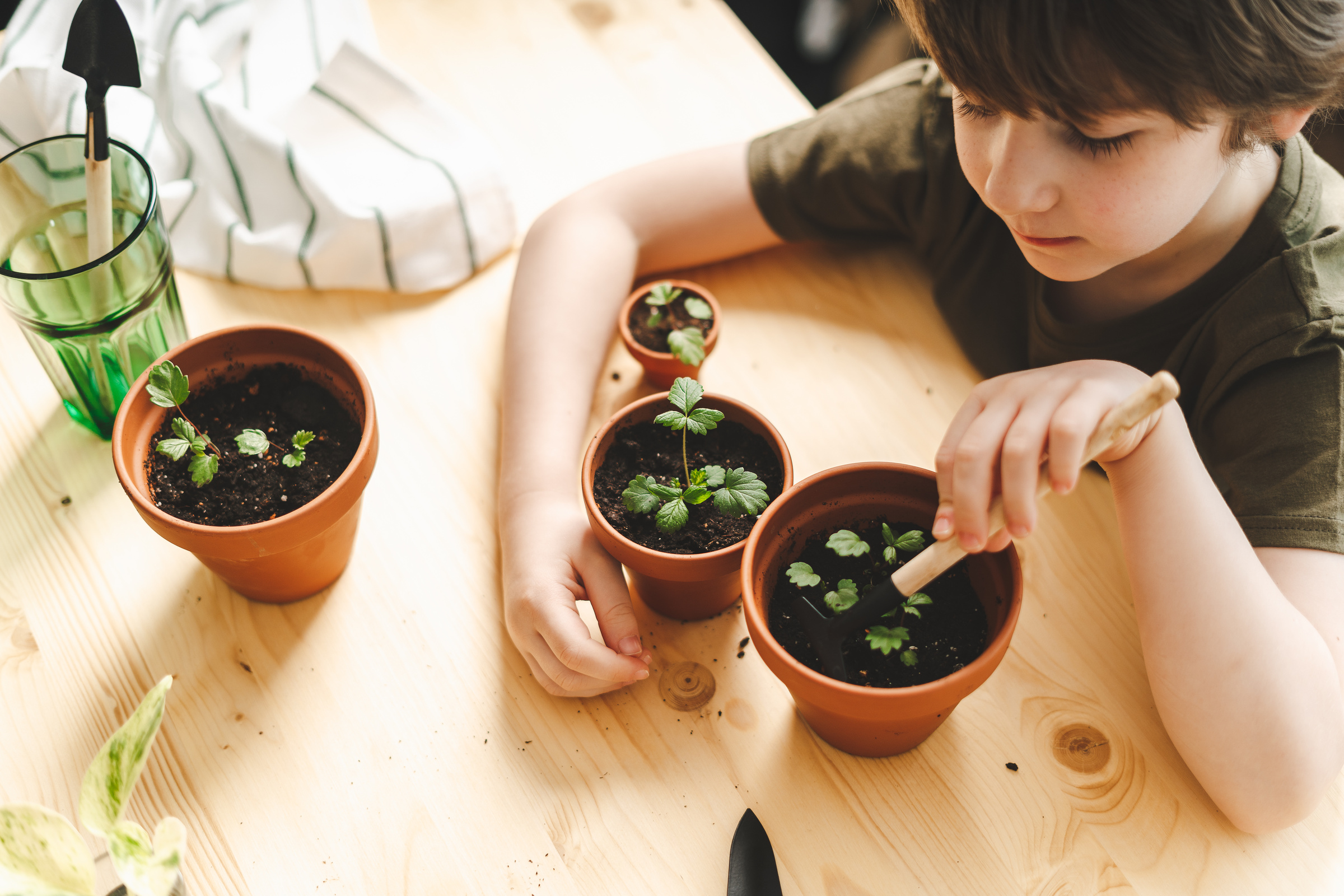 Kid gardeners potted plant